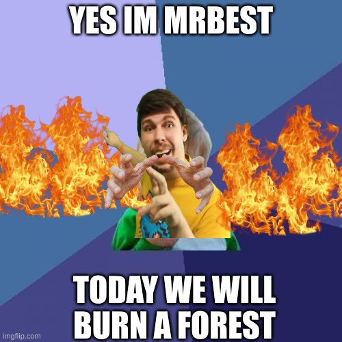 Success Kid Meme | YES IM MRBEST; TODAY WE WILL BURN A FOREST | image tagged in memes,success kid | made w/ Imgflip meme maker