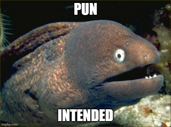 PUN INTENDED | image tagged in memes,bad joke eel | made w/ Imgflip meme maker