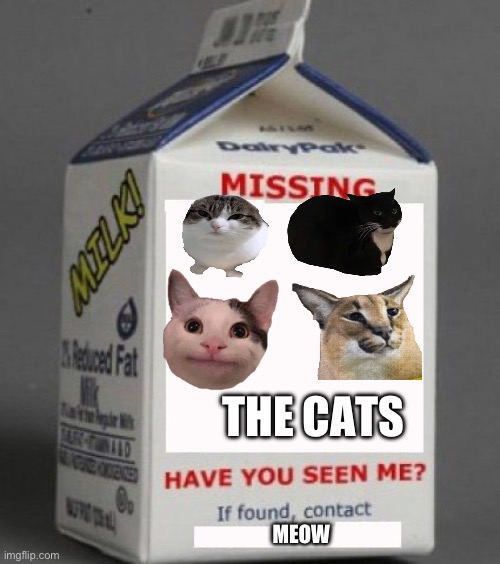Help find the cats! | THE CATS; MEOW | image tagged in milk carton,memes,cats,missing | made w/ Imgflip meme maker