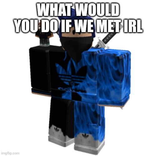 Zero Frost | WHAT WOULD YOU DO IF WE MET IRL | image tagged in zero frost | made w/ Imgflip meme maker