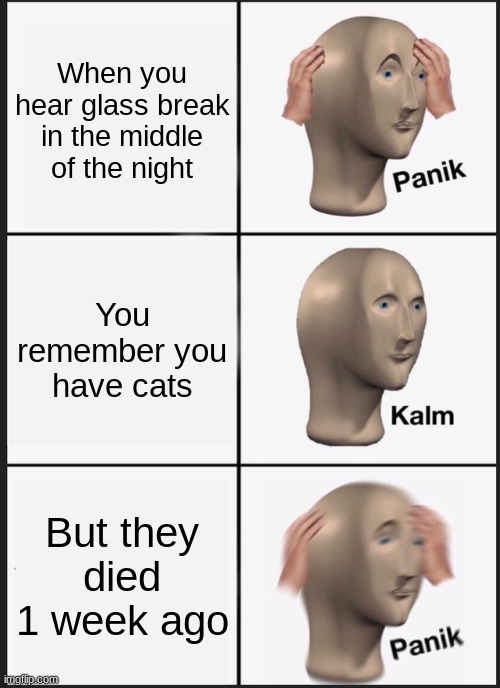 honestly this would be scary | When you hear glass break in the middle of the night; You remember you have cats; But they died 1 week ago | image tagged in memes,panik kalm panik | made w/ Imgflip meme maker
