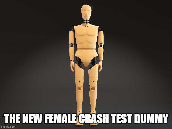 Female Crash Test Dummy | THE NEW FEMALE CRASH TEST DUMMY | image tagged in gender,transgender,male,female | made w/ Imgflip meme maker