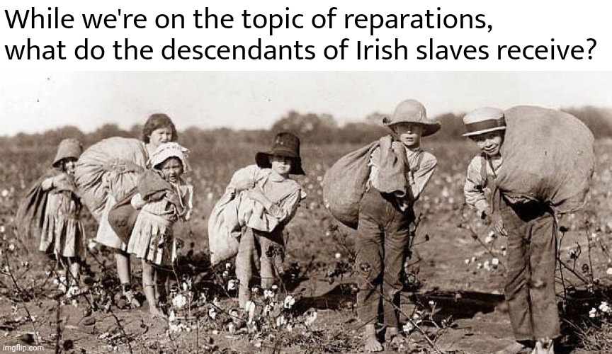 What do we get? | While we're on the topic of reparations, what do the descendants of Irish slaves receive? | image tagged in memes | made w/ Imgflip meme maker