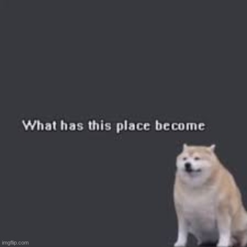 What has this place become | image tagged in what has this place become | made w/ Imgflip meme maker