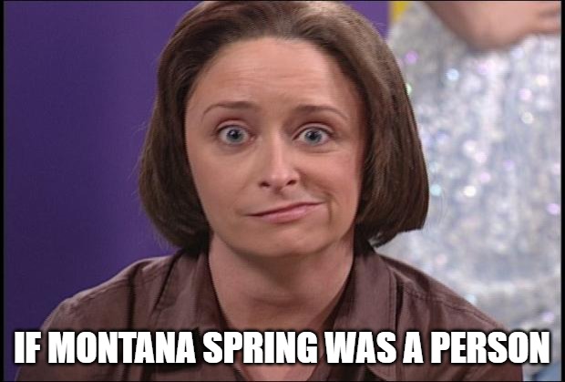 Montana Spring | IF MONTANA SPRING WAS A PERSON | image tagged in debbie downer | made w/ Imgflip meme maker