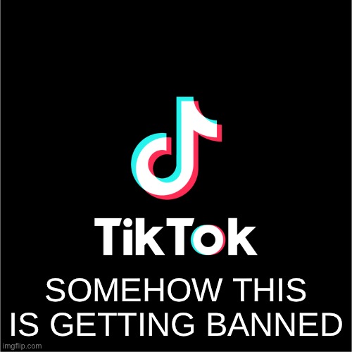 tiktok logo | SOMEHOW THIS IS GETTING BANNED | image tagged in tiktok logo | made w/ Imgflip meme maker