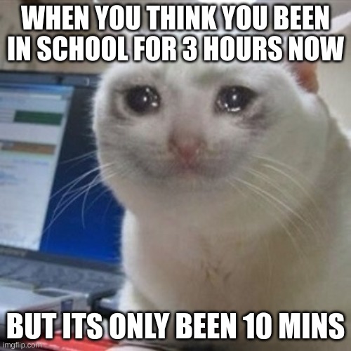 Crying cat | WHEN YOU THINK YOU BEEN IN SCHOOL FOR 3 HOURS NOW; BUT ITS ONLY BEEN 10 MINS | image tagged in crying cat | made w/ Imgflip meme maker
