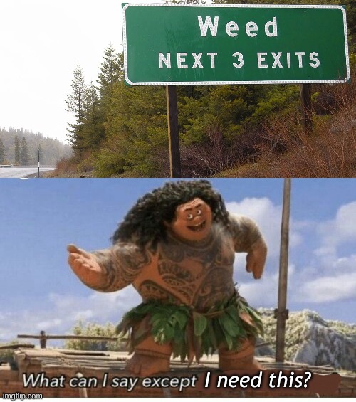 next 3 exits | I need this? | image tagged in moana maui what can i say except blank,funny road signs,you had one job | made w/ Imgflip meme maker