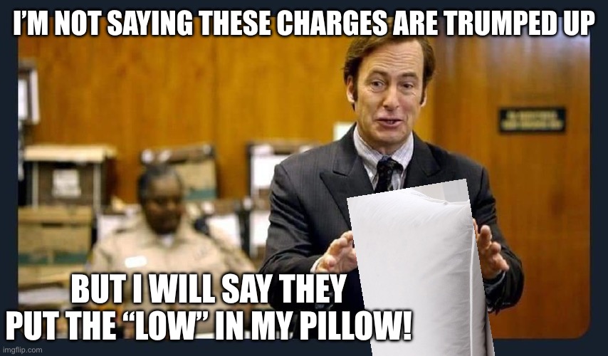 Your honour | I’M NOT SAYING THESE CHARGES ARE TRUMPED UP BUT I WILL SAY THEY PUT THE “LOW” IN MY PILLOW! | image tagged in your honour | made w/ Imgflip meme maker