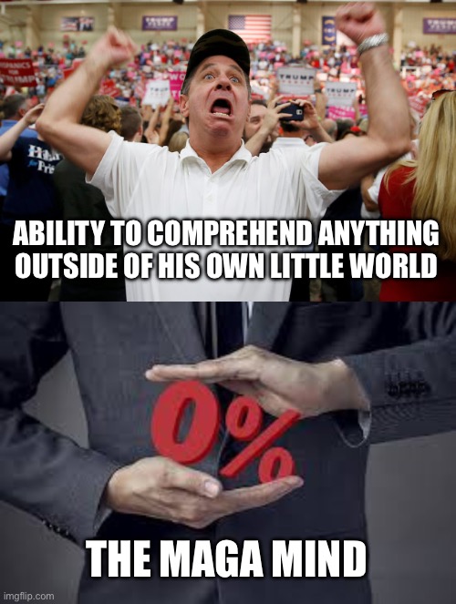 ABILITY TO COMPREHEND ANYTHING OUTSIDE OF HIS OWN LITTLE WORLD THE MAGA MIND | image tagged in trump supporter triggered,zero percent | made w/ Imgflip meme maker