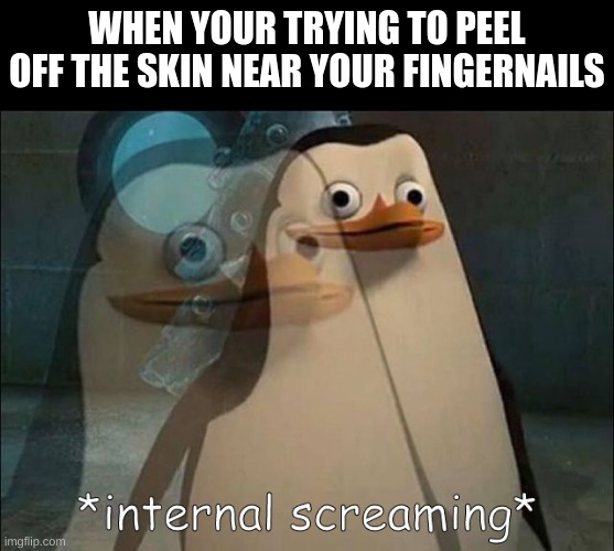 Private Internal Screaming | WHEN YOUR TRYING TO PEEL OFF THE SKIN NEAR YOUR FINGERNAILS | image tagged in private internal screaming | made w/ Imgflip meme maker