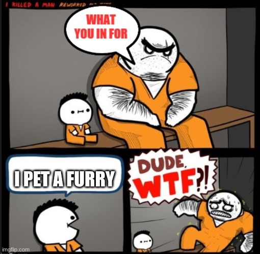 Dude WTF | I PET A FURRY | image tagged in dude wtf | made w/ Imgflip meme maker