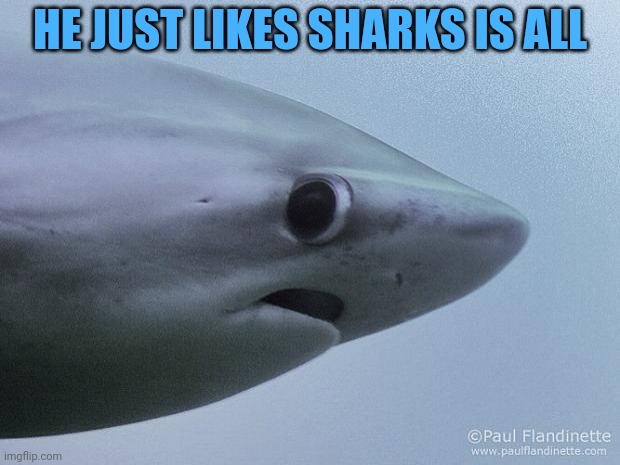 Awkward Shark | HE JUST LIKES SHARKS IS ALL | image tagged in awkward shark | made w/ Imgflip meme maker