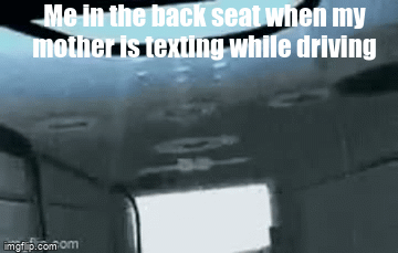 Rabbit go fly - Imgflip