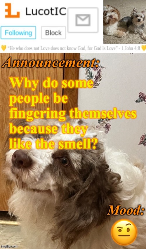 . | Why do some people be fingering themselves because they like the smell? 🤨 | image tagged in lucotic s fangz announcement temp thanks strike | made w/ Imgflip meme maker