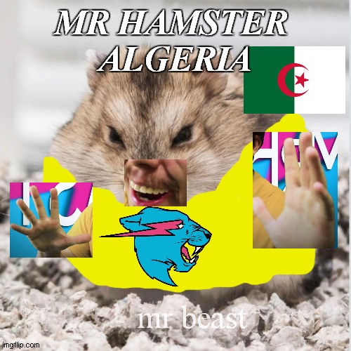 hamster+mr baest fake | MR HAMSTER 
ALGERIA; mr beast | image tagged in angry hamster | made w/ Imgflip meme maker