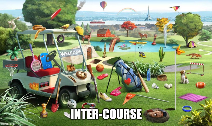 Golf course  | INTER-COURSE | image tagged in golf course | made w/ Imgflip meme maker