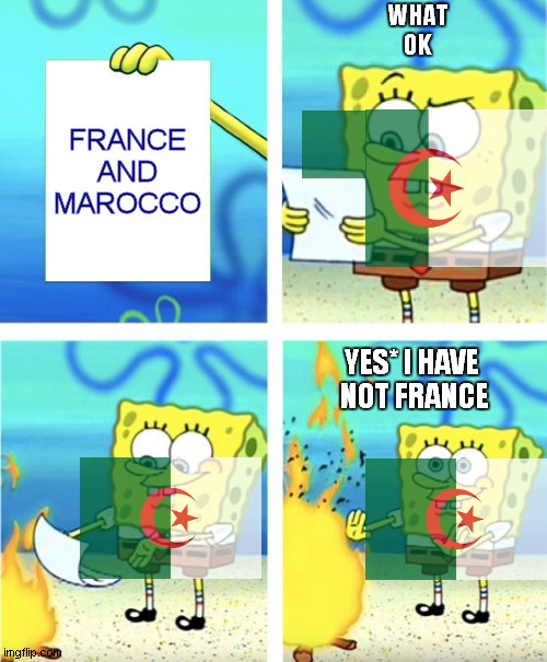 papier brul du algeria bob éponge | WHAT
OK; FRANCE
AND
MAROCCO; YES* I HAVE 
NOT FRANCE | image tagged in spongebob burning paper | made w/ Imgflip meme maker