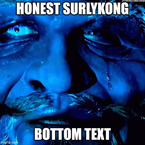 Honest SurlyKong Reaction | HONEST SURLYKONG BOTTOM TEXT | image tagged in honest surlykong reaction | made w/ Imgflip meme maker