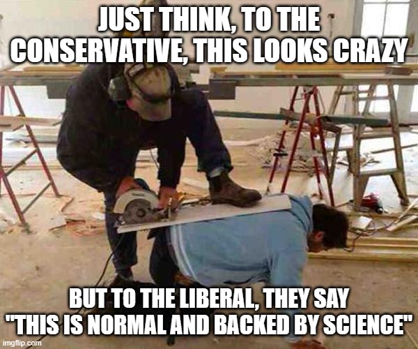 Common Sense | JUST THINK, TO THE CONSERVATIVE, THIS LOOKS CRAZY; BUT TO THE LIBERAL, THEY SAY "THIS IS NORMAL AND BACKED BY SCIENCE" | image tagged in common sense | made w/ Imgflip meme maker