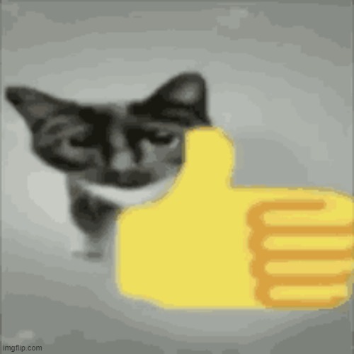 cat thumbs up | image tagged in cat thumbs up | made w/ Imgflip meme maker