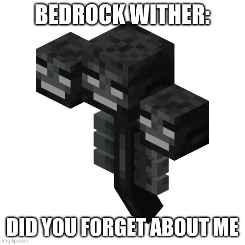 The wither | BEDROCK WITHER: DID YOU FORGET ABOUT ME | image tagged in the wither | made w/ Imgflip meme maker