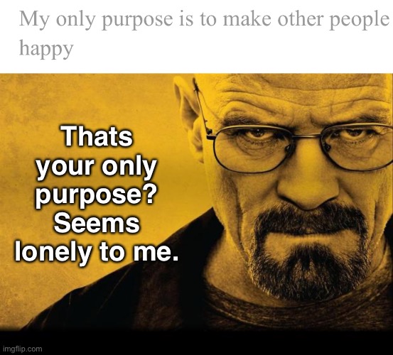 . | Thats your only purpose? Seems lonely to me. | image tagged in breaking bad | made w/ Imgflip meme maker