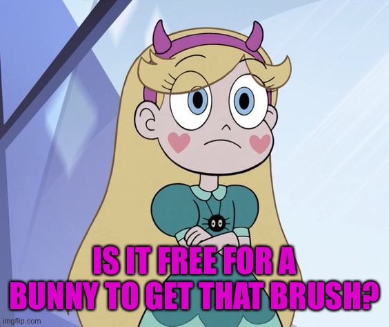 Star Butterfly | IS IT FREE FOR A BUNNY TO GET THAT BRUSH? | image tagged in star butterfly | made w/ Imgflip meme maker