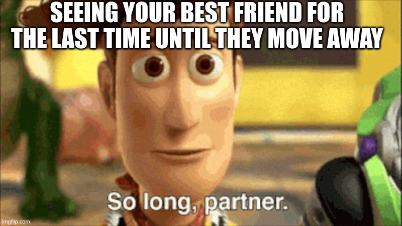 D: | SEEING YOUR BEST FRIEND FOR THE LAST TIME UNTIL THEY MOVE AWAY | image tagged in so long partner | made w/ Imgflip meme maker