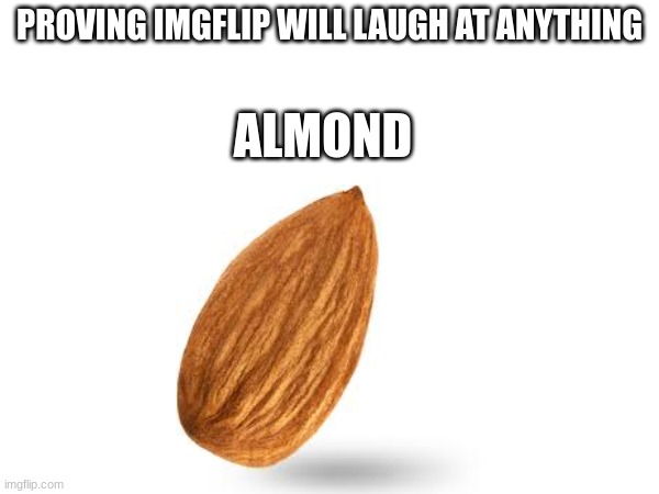 Almond | PROVING IMGFLIP WILL LAUGH AT ANYTHING; ALMOND | image tagged in memes,almond,blank | made w/ Imgflip meme maker