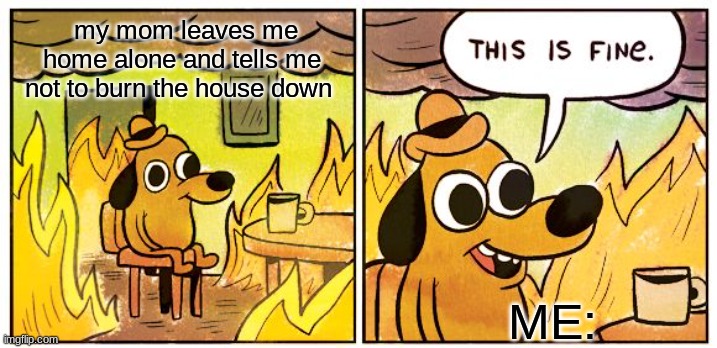 This Is Fine | my mom leaves me home alone and tells me not to burn the house down; ME: | image tagged in memes,this is fine | made w/ Imgflip meme maker