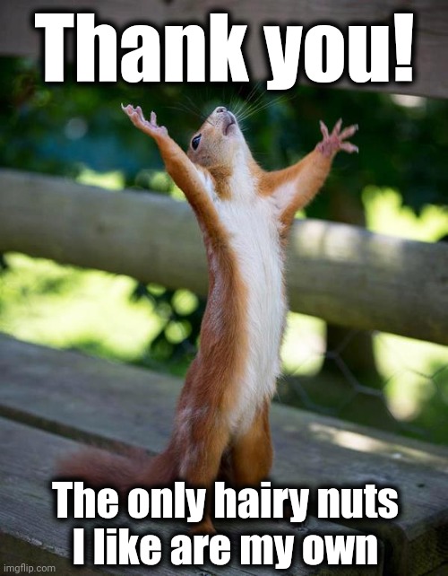 Thank you Jesus squirrel | Thank you! The only hairy nuts
I like are my own | image tagged in thank you jesus squirrel | made w/ Imgflip meme maker