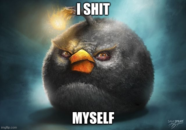 doody bird | I SHIT; MYSELF | image tagged in angry birds bomb,angry birds,stupid memes | made w/ Imgflip meme maker