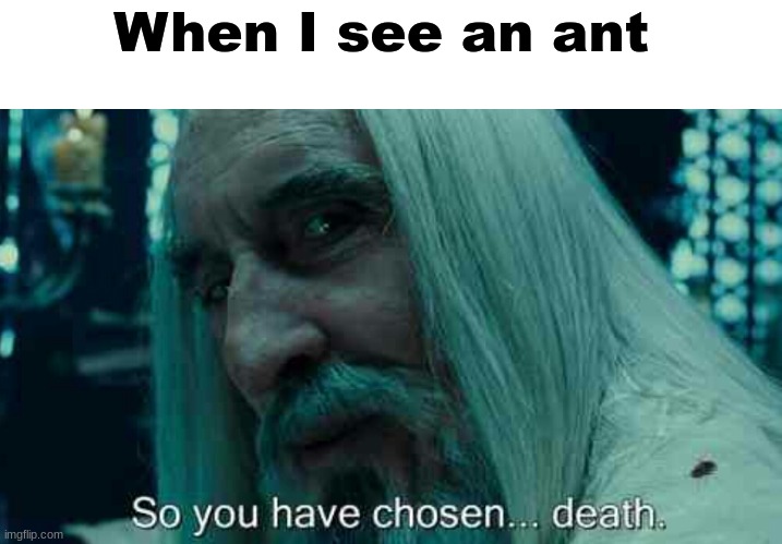 squish | When I see an ant | image tagged in so you have chosen death,death,murder,hahaha,funny | made w/ Imgflip meme maker