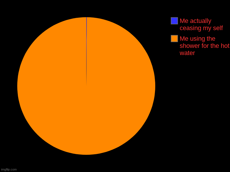 Me using the shower for the hot water , Me actually ceasing my self | image tagged in charts,pie charts | made w/ Imgflip chart maker