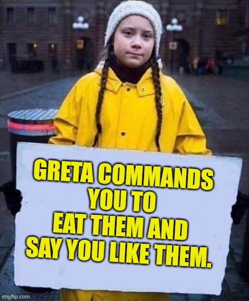 Greta | GRETA COMMANDS YOU TO EAT THEM AND SAY YOU LIKE THEM. | image tagged in greta | made w/ Imgflip meme maker