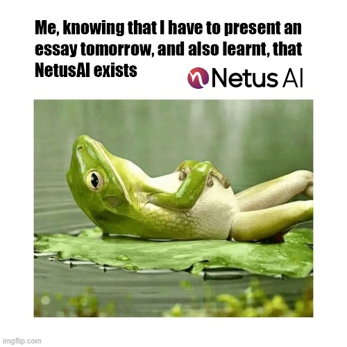 The day I found I can write essay in minutes | https://netus.ai/ | image tagged in essay,life hack,artificial intelligence,essaywriter,tools,frog relaxing | made w/ Imgflip meme maker