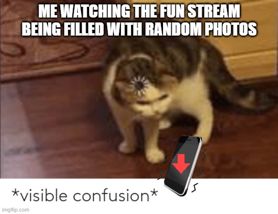 why tho | ME WATCHING THE FUN STREAM BEING FILLED WITH RANDOM PHOTOS | image tagged in visible confusion | made w/ Imgflip meme maker
