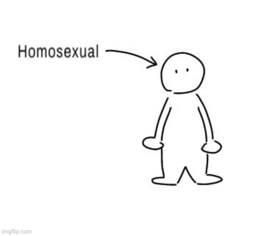 homosexual | image tagged in homosexual | made w/ Imgflip meme maker