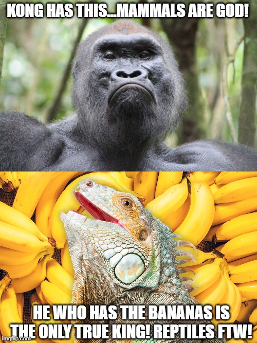 kong vs godzilla | KONG HAS THIS...MAMMALS ARE GOD! HE WHO HAS THE BANANAS IS THE ONLY TRUE KING! REPTILES FTW! | image tagged in king kong,godzilla | made w/ Imgflip meme maker