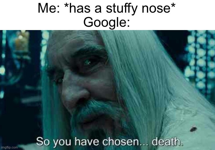 Meme #756 | Me: *has a stuffy nose*
Google: | image tagged in so you have chosen death,google,nose,sickness,funny,memes | made w/ Imgflip meme maker