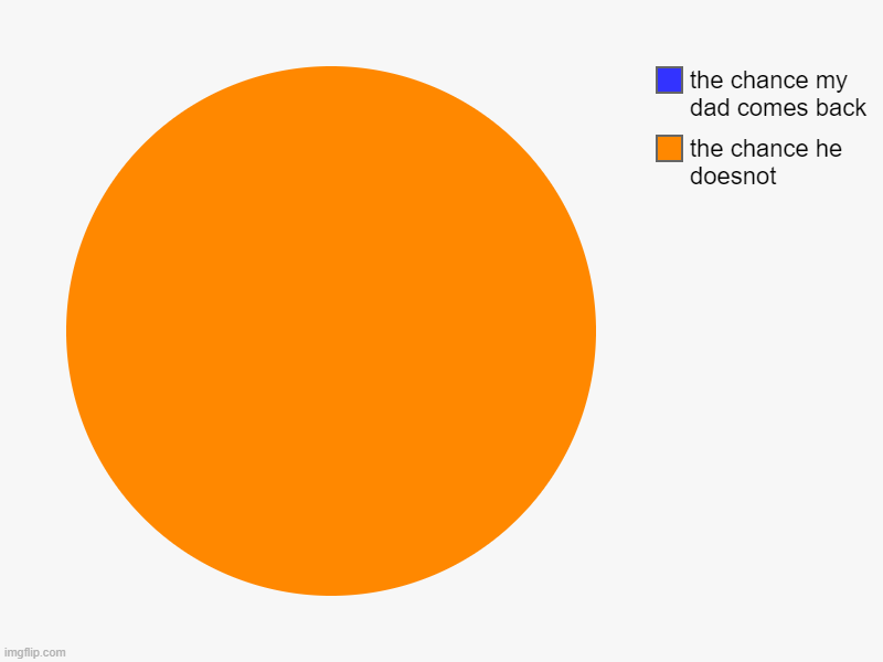 the chance he doesnot, the chance my dad comes back | image tagged in charts,pie charts | made w/ Imgflip chart maker