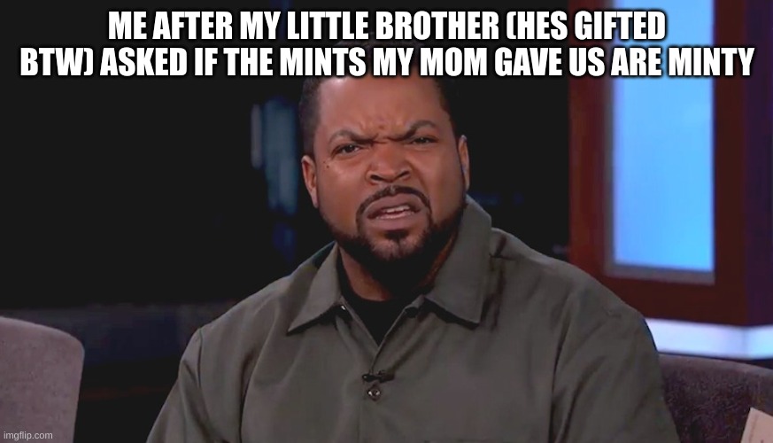 he actually did ? | ME AFTER MY LITTLE BROTHER (HES GIFTED BTW) ASKED IF THE MINTS MY MOM GAVE US ARE MINTY | image tagged in really ice cube | made w/ Imgflip meme maker