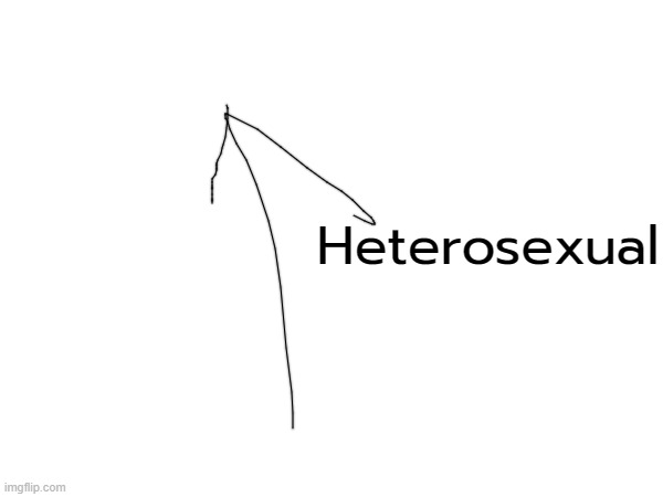 Heterosexual | made w/ Imgflip meme maker