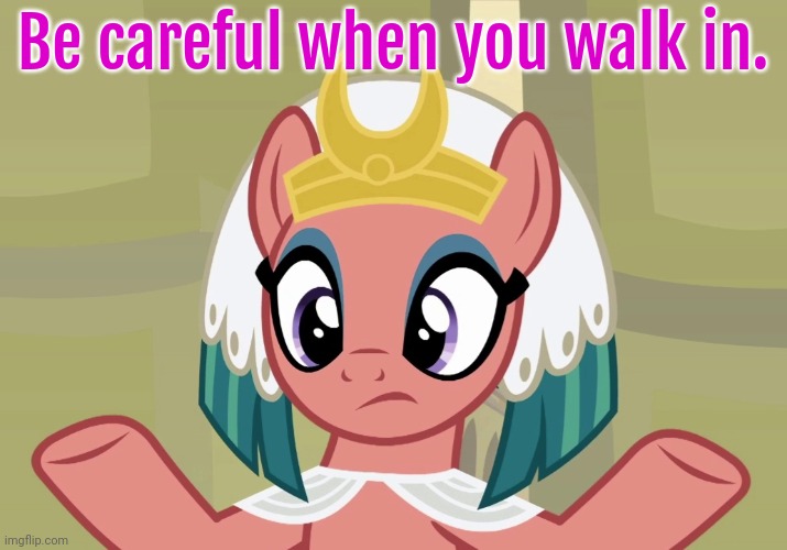 Concerned Somnambula (MLP) | Be careful when you walk in. | image tagged in concerned somnambula mlp | made w/ Imgflip meme maker