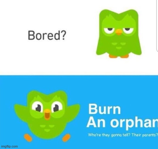 Bored? Burn an Orphan! | image tagged in bored burn an orphan | made w/ Imgflip meme maker