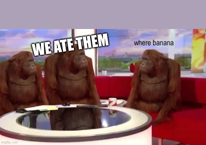 where banana | WE ATE THEM | image tagged in where banana | made w/ Imgflip meme maker