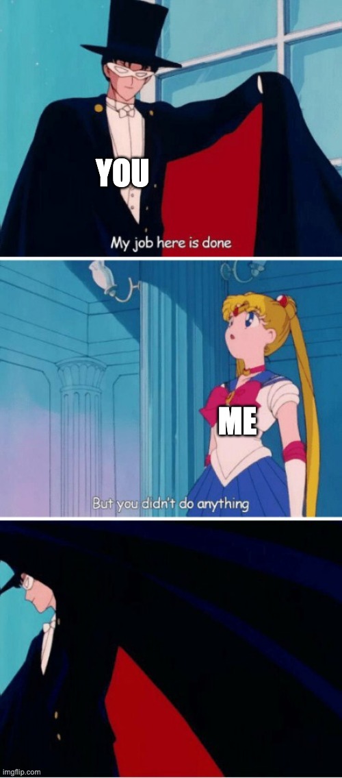 Sailor moon | YOU ME | image tagged in sailor moon | made w/ Imgflip meme maker