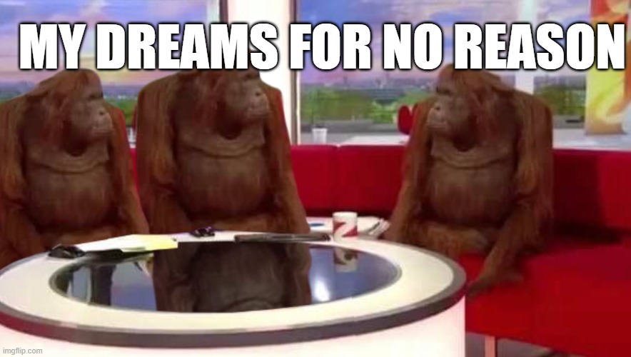 its so true | MY DREAMS FOR NO REASON | image tagged in where monkey | made w/ Imgflip meme maker
