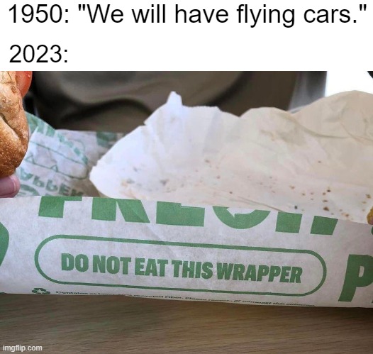 When your "bright future" is in the distant past | 1950: "We will have flying cars."; 2023: | image tagged in future,progress | made w/ Imgflip meme maker